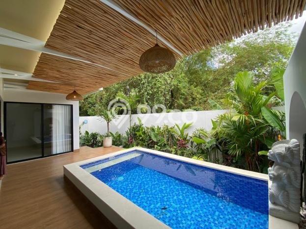 Disewakan Rumah Murah di Dalung Badung Punya 2 Kamar Tidur Disewakan Rumah Murah di Dalung Badung Punya 2 Kamar Tidur