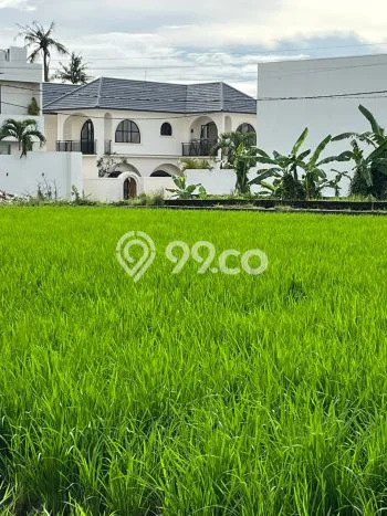 Rumah Cantik Siap Pakai Di Mengwi Luas 137m2 Lokasi Strategis Rumah Cantik Siap Pakai Di Mengwi Luas 137m2 Lokasi Strategis