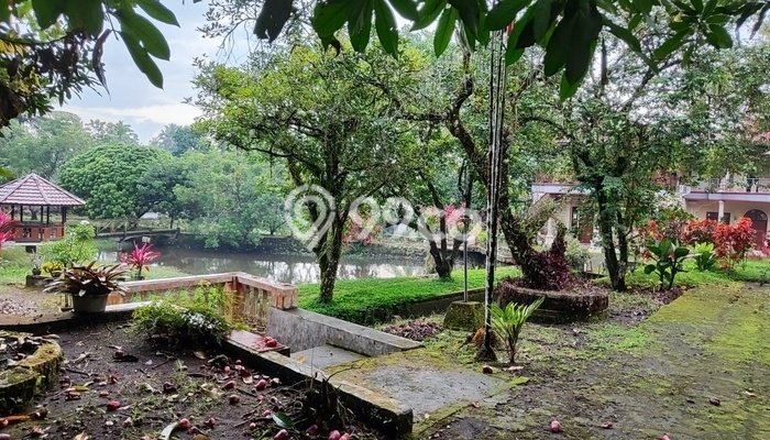 Vila di Dimembe, Area 6963m2m², Dekat ke Pusat Kota Vila di Dimembe, Area 6963m2m², Dekat ke Pusat Kota