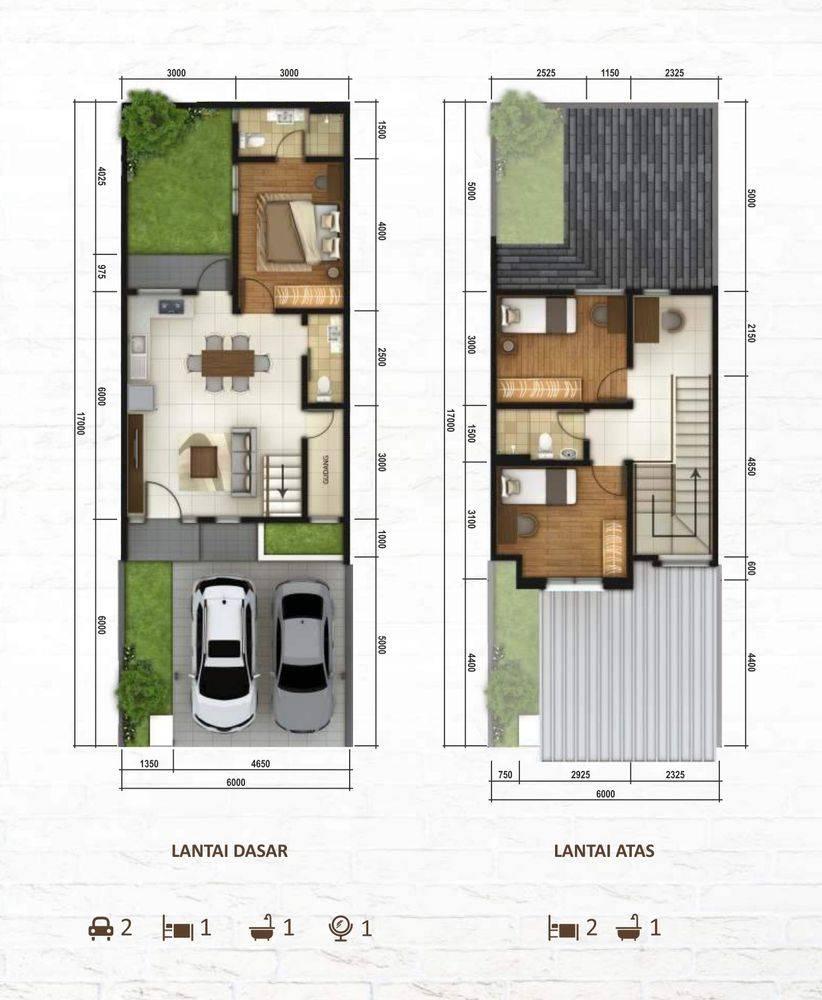 Tipe Bluebell Tipe Bluebell