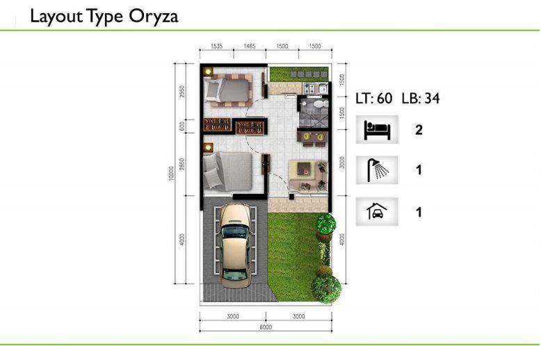 Oryza Oryza
