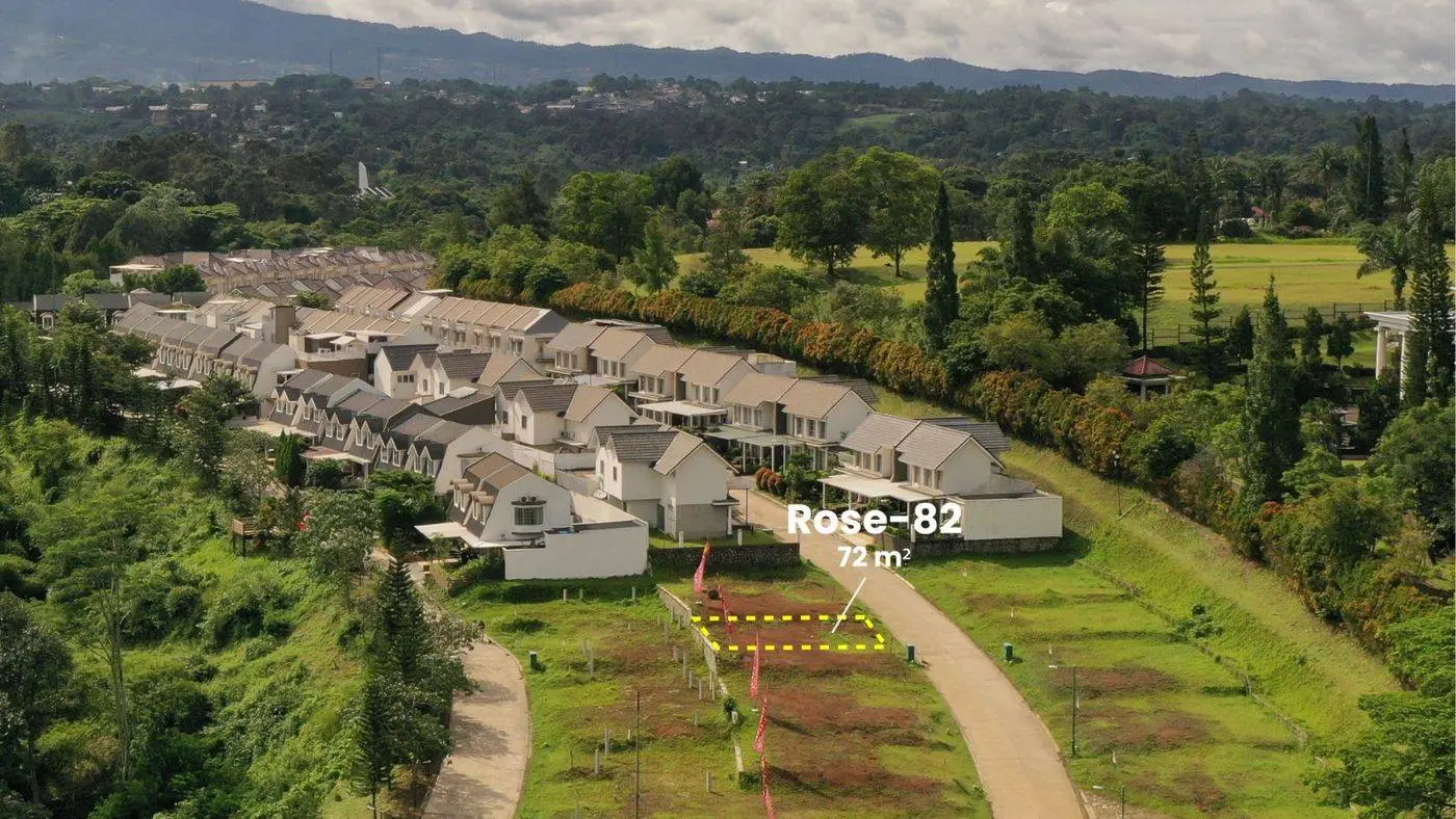 Rosewood 82 .jpeg