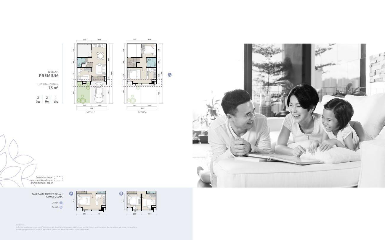 Cluster Verdi - premium