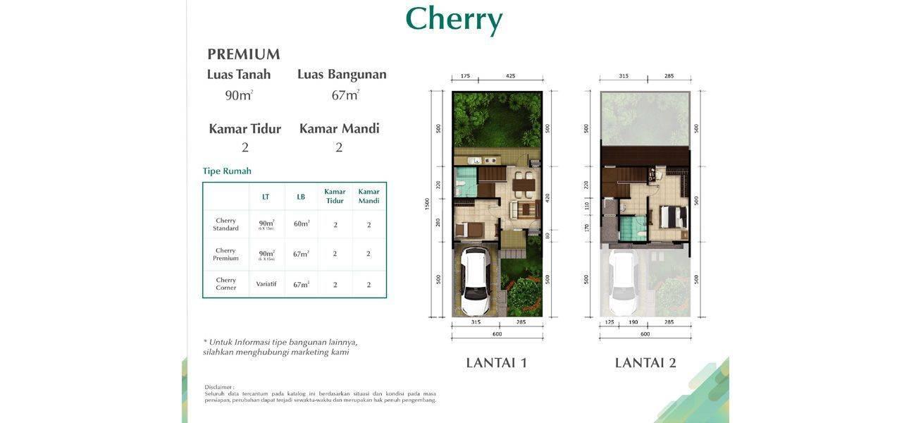 Chelsea dan Cherry - Tipe Cherry 2
