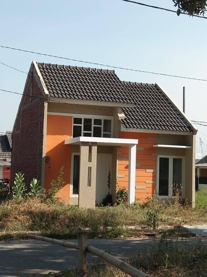 oma greenland menganti
