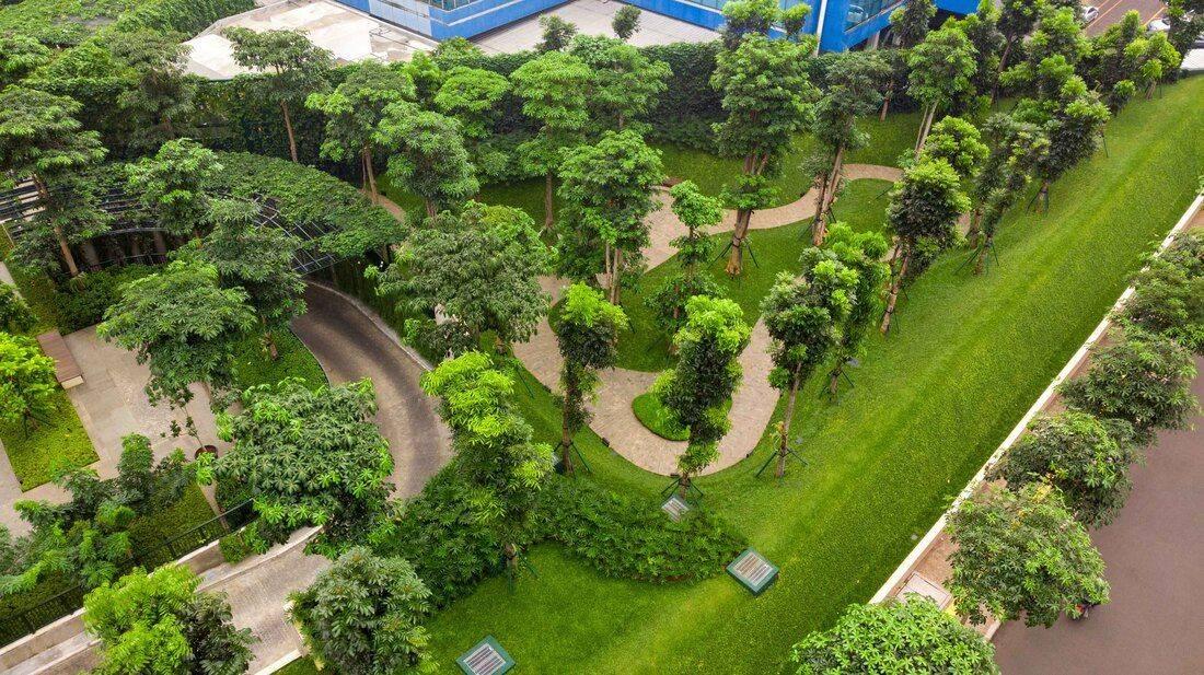 Pakubuwono Spring - garden forest 2