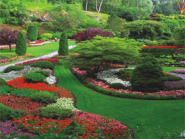 Grand Galaxy City Garden