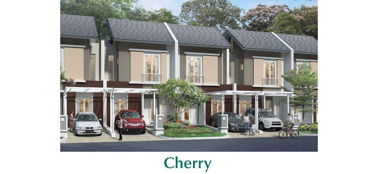 Chelsea dan Cherry - Tipe Cherry 1