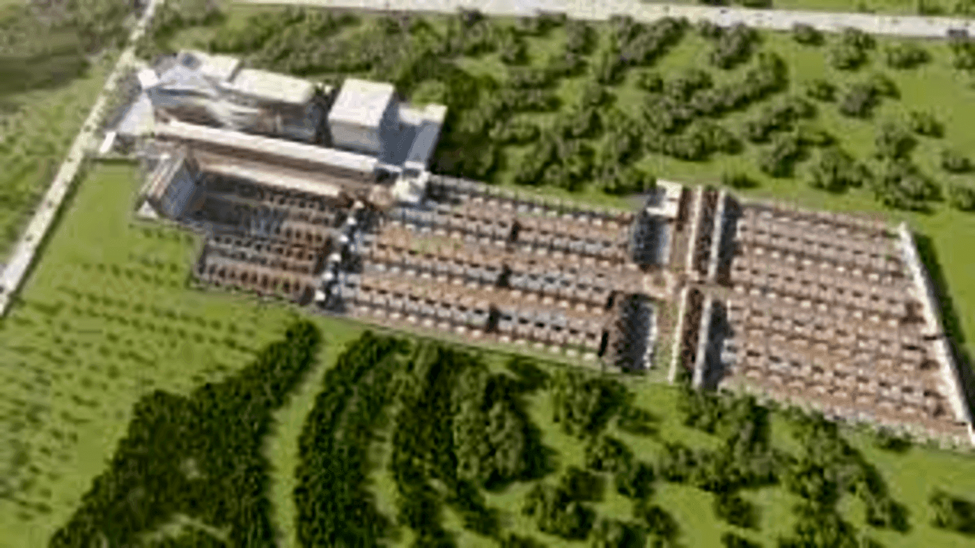 Bird View