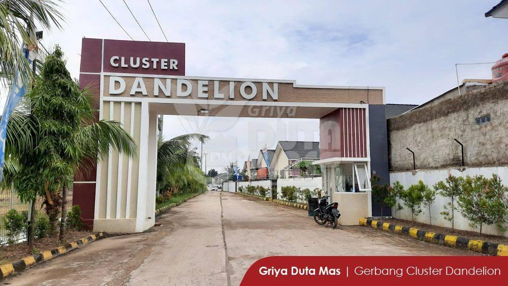 Gate Cluster