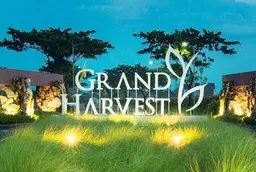 Grand Harvest Grand Harvest