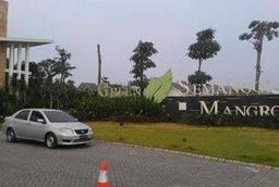 Green Semanggi Mangrove Green Semanggi Mangrove