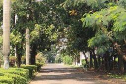 Taman Bougenville Estate Taman Bougenville Estate