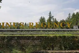 Pinus Regency Pinus Regency
