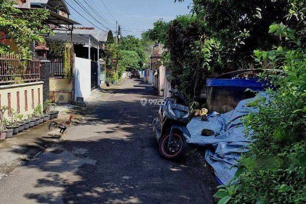 Tanah SHM Pekarangan di Utara Superindo Kotagede, Yogyakarta Tanah SHM Pekarangan di Utara Superindo Kotagede, Yogyakarta