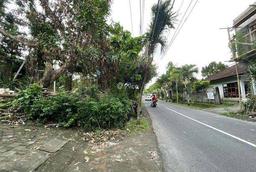 Dijual Tanah Kosong di Jalan Utama Babakan Canggu Dijual Tanah Kosong di Jalan Utama Babakan Canggu