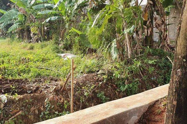 Tanah Strategis di Pondok Kelapa Jakarta Timur, Jalan Komple Lebar 8 Meter Tanah Strategis di Pondok Kelapa Jakarta Timur, Jalan Komple Lebar 8 Meter
