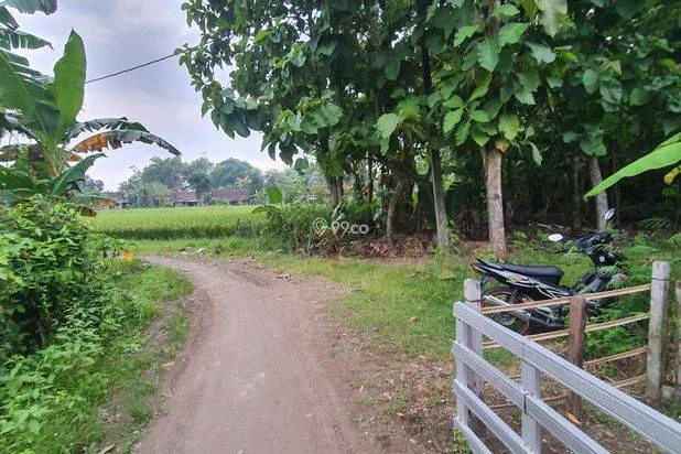 Tanah Kebun Jati Ngawi Kota Tanah Kebun Jati Ngawi Kota