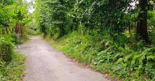 Tanah Tanah