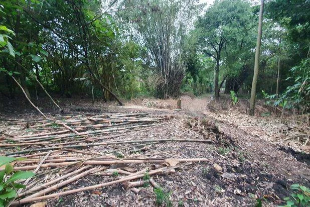 Tanah Kebun Jati Ngawi Kota Tanah Kebun Jati Ngawi Kota
