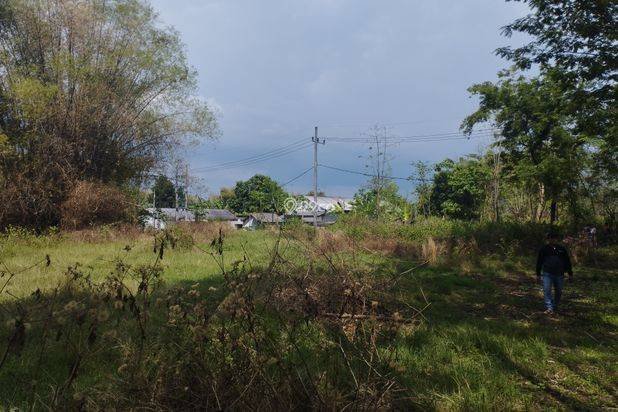Jual Cepat BU: Tanah Murah di Sukorejo Pasuruan Plot Kuning Jual Cepat BU: Tanah Murah di Sukorejo Pasuruan Plot Kuning