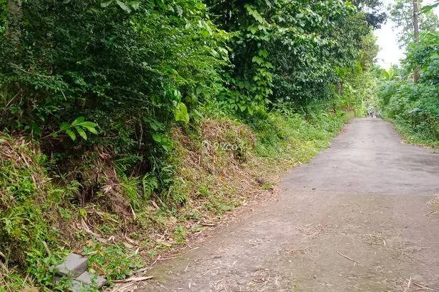 Tanah pekarangan subur Kanoman Karangnongko, Klaten Tanah pekarangan subur Kanoman Karangnongko, Klaten