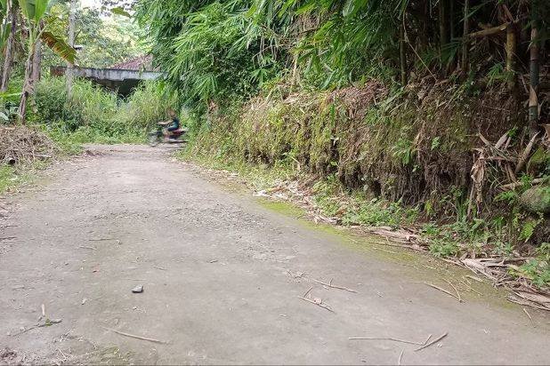 Pekarangan asri karangnogko Pekarangan asri karangnogko