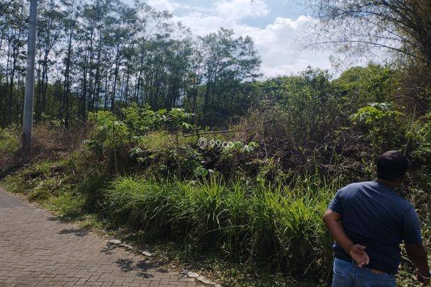 Jual Cepat BU: Tanah Murah di Sukorejo Pasuruan Plot Kuning Jual Cepat BU: Tanah Murah di Sukorejo Pasuruan Plot Kuning