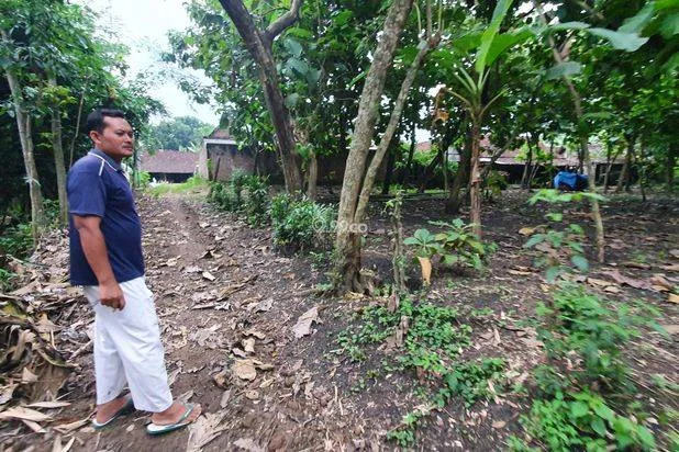 Tanah Kebun Jati Ngawi Kota Tanah Kebun Jati Ngawi Kota