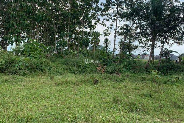 Jual Tanah Kavling Sukun Malang Murah Jual Tanah Kavling Sukun Malang Murah