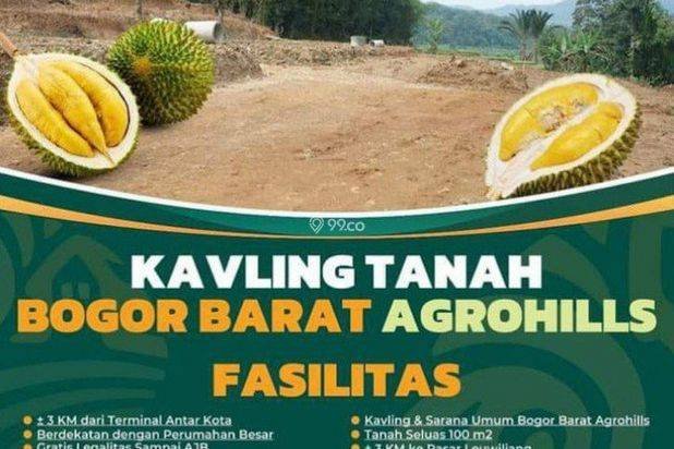 Investasi Kavling Kebun Termurah Di Leuwiliang Bogor Barat Investasi Kavling Kebun Termurah Di Leuwiliang Bogor Barat
