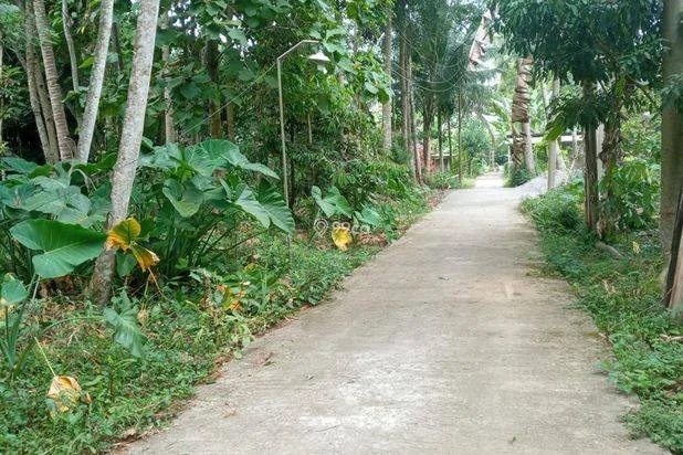Tanah pekarangan nyaman gemampir karangnongko Tanah pekarangan nyaman gemampir karangnongko