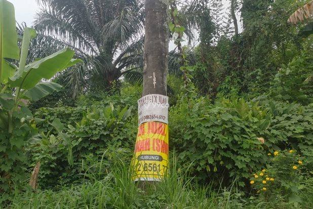 Dijual Sebidang Tanah Dijual Sebidang Tanah