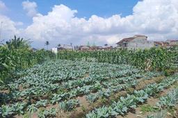 Tanah di Jl Kamojang Samarang awi , Kab Garut Tanah di Jl Kamojang Samarang awi , Kab Garut