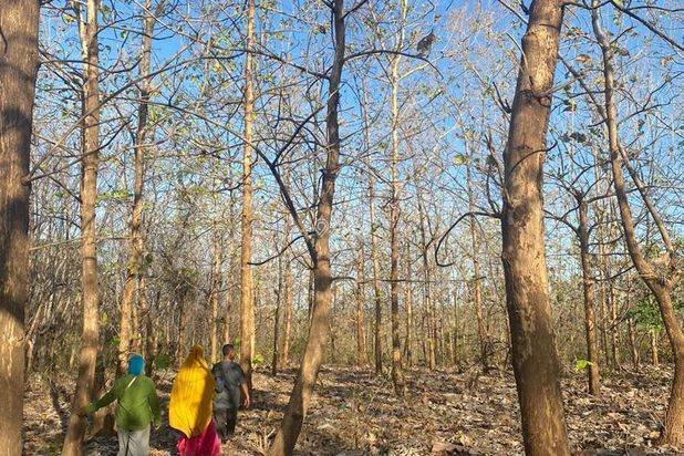 Dijual Tanah Komersial 2 Hektar SHM di Labuhan Sumbawa Dijual Tanah Komersial 2 Hektar SHM di Labuhan Sumbawa
