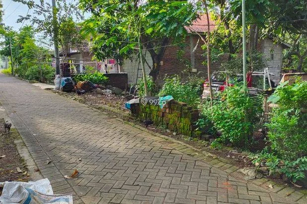 JUAL TANAH PEKARANGAN/KEBUN MURAH 275K/ m2 JUAL TANAH PEKARANGAN/KEBUN MURAH 275K/ m2