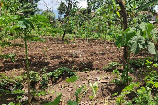 Dijual tanah Istimewa di Garut Kota Dijual tanah Istimewa di Garut Kota