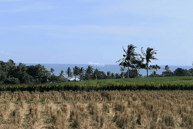 Disewakan Tanah Dekat Pantai Kelecung, Bali Disewakan Tanah Dekat Pantai Kelecung, Bali