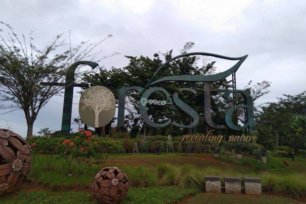 Foresta BSD Foresta BSD