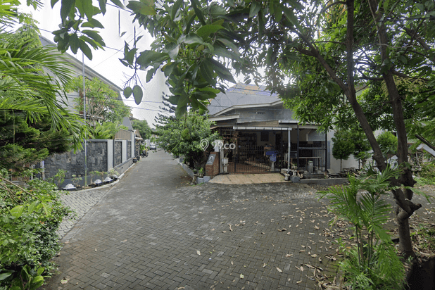 Semolowaru Elok Semolowaru Elok