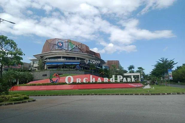 Orchard Park Orchard Park