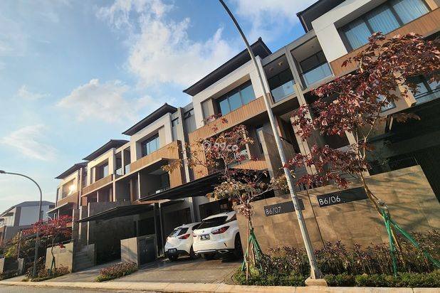 The Zora BSD City The Zora BSD City