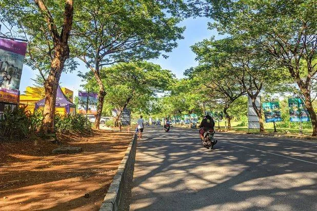 South City South City