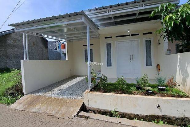 Pinus Regency Pinus Regency