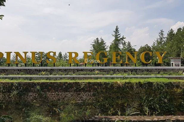 Pinus Regency Pinus Regency