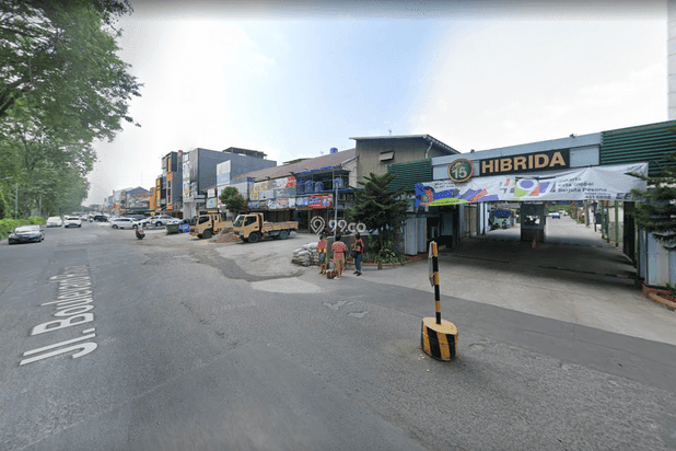 Gading Hibrida Gading Hibrida