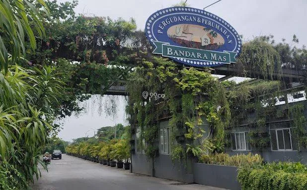 Bandara Mas Bandara Mas