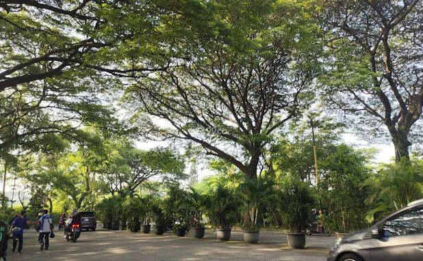Bandara Mas Bandara Mas