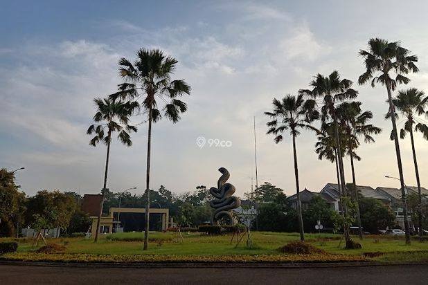 The Icon BSD The Icon BSD