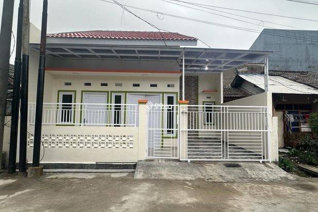 Pesona Anggrek Harapan Pesona Anggrek Harapan